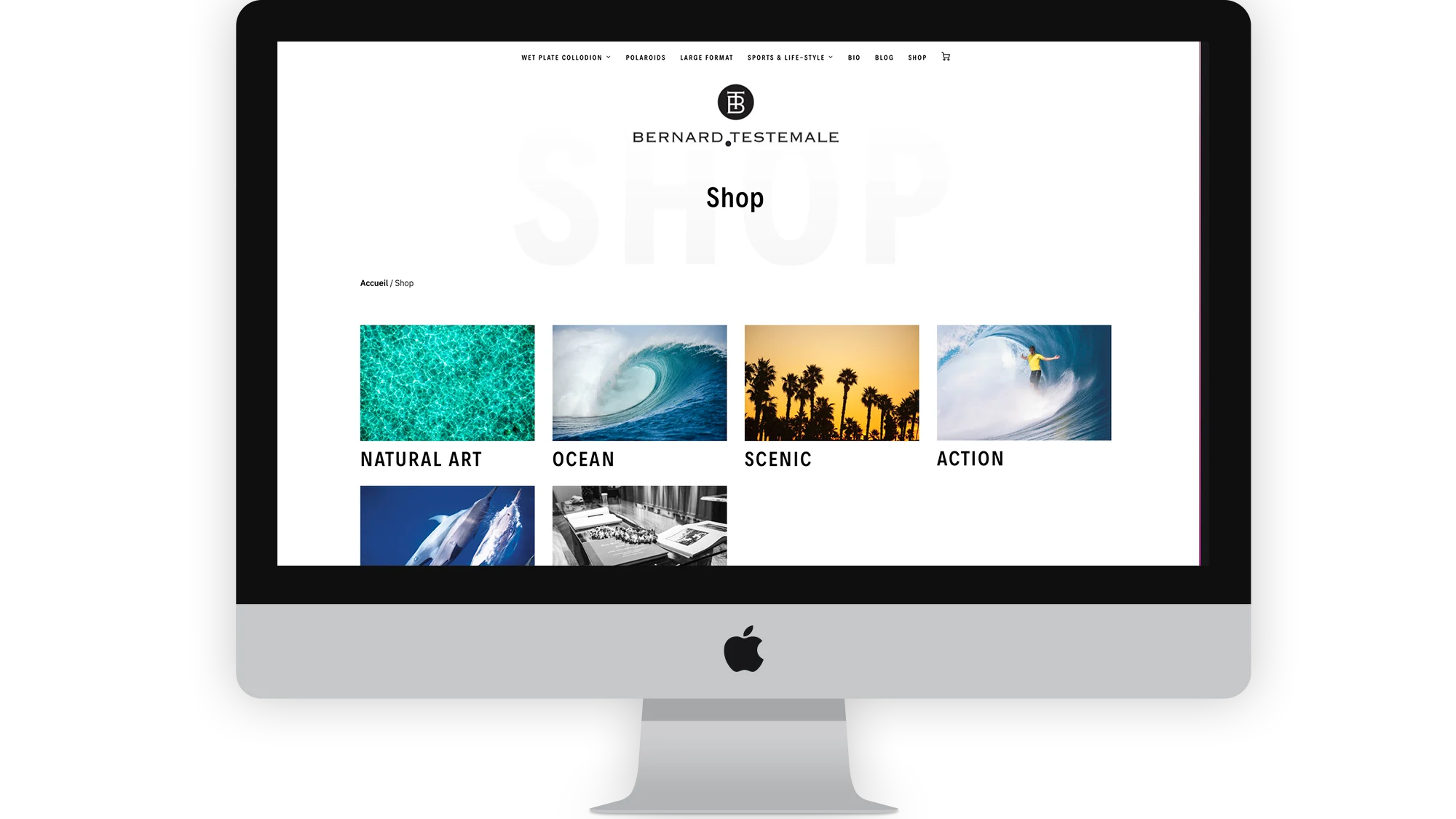 Shop in Portfolio
